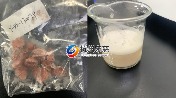 宋慈全自動(dòng)組織研磨儀研磨老鼠成骨實(shí)驗(yàn)案例